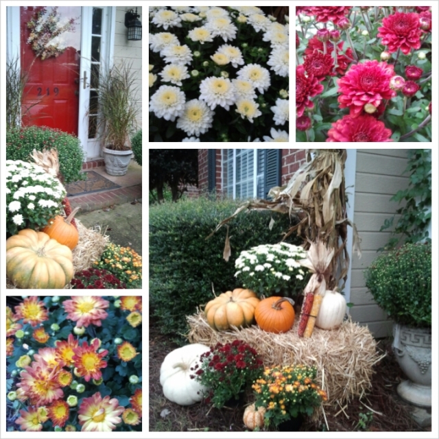 Our Fall Garden